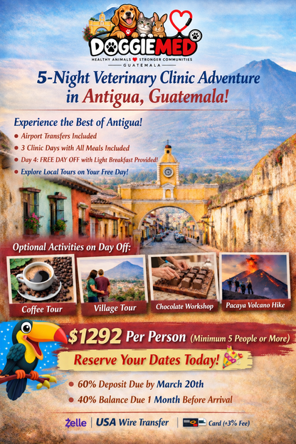 DOGGIEMED TRIP 2027
