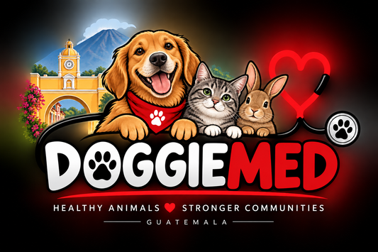 DOGGIEMED TRIP 2027